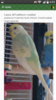 2016-06-24-06-03-11.png