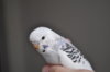 DSC_0691.JPG
