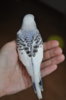 DSC_0688.JPG
