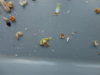 DSC02953.JPG