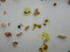 DSC02959.JPG