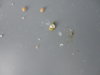DSC02955.JPG
