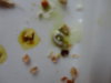 DSC02960.JPG