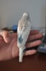 DSC_0702.JPG