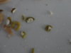 DSC02966.JPG
