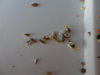 DSC02967.JPG