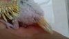 IMG_20160702_180109.jpg