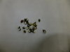 DSCF4023.JPG