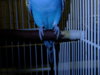 DSCF4016.JPG
