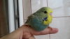 IMG_20160709_103031.jpg