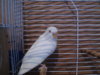 DSC01907.JPG