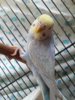 20160708_110540.jpg