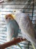 20160708_110924.jpg