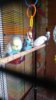 IMG-20160704-WA0045.jpg