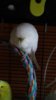 IMG-20160704-WA0049.jpg