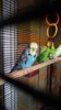 IMG-20160704-WA0054.jpg