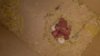 IMG-20160706-WA0049.jpg