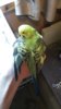 IMG-20160704-WA0025.jpg