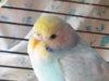 20160711_112028.jpg