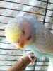 20160711_113613.jpg