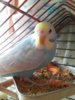20160711_112635.jpg