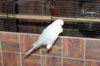 IMG_5364.JPG