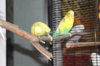 IMG_5377.JPG