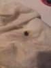 IMG_20160716_230118.jpg