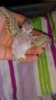IMG_20160716_182317.jpg