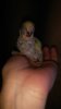 IMG_20160719_063607.jpg