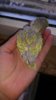 IMG_20160719_063557.jpg