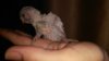 IMG_20160719_063647.jpg