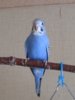 IMG_8287.JPG