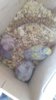 IMG-20160721-WA0007.jpg