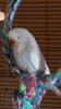 IMG-20160721-WA0023.jpg