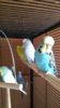IMG-20160721-WA0029.jpg