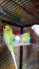 IMG-20160721-WA0056.jpg