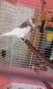 20160724_132139.jpg