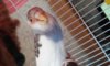 20160724_140129.jpg