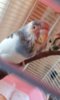 20160724_204131.jpg