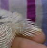 _20160724_093736.jpg