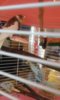 20160725_105233.jpg