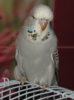 IMG_9688.JPG