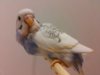 20160623_152559.jpg