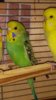 IMG_20160727_201149.jpg