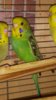 IMG_20160727_201158.jpg