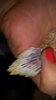 IMG_20160728_070835.jpg