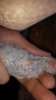 IMG_20160728_070851.jpg