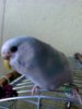 to5c8hQ-k4U.jpg