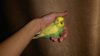 IMG_20160801_210304.jpg